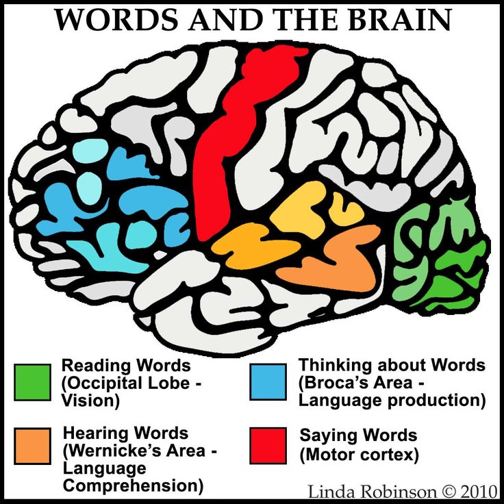 speech brain side
